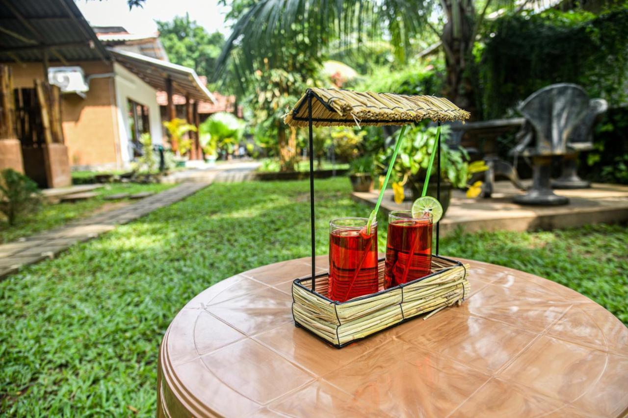 Clay House Otel Udawalawe Dış mekan fotoğraf